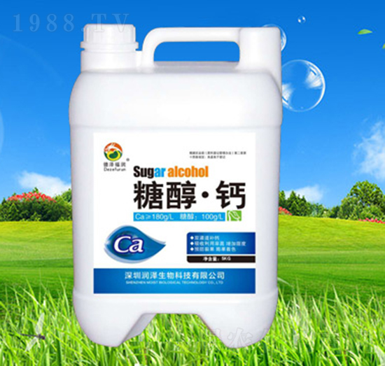 �Ǵ����}-��������