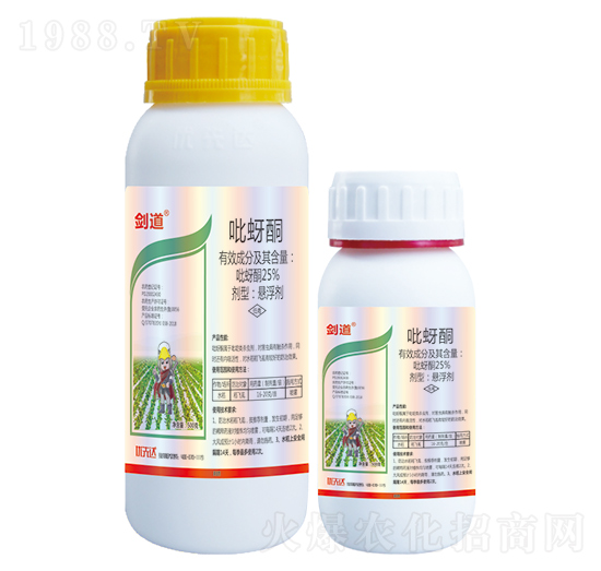 25%����ͪ-����-��(y��u)���_(d��)