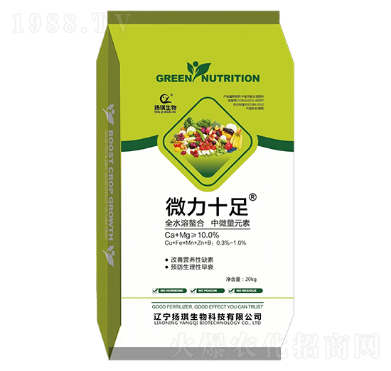 ΢��ʮ��-�P������