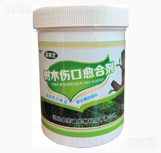 ��ľ�������τ�-�{(l��n)ɭˇ-�����\