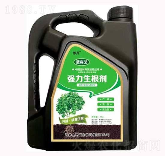 ����������-�{ɭˇ-�����\