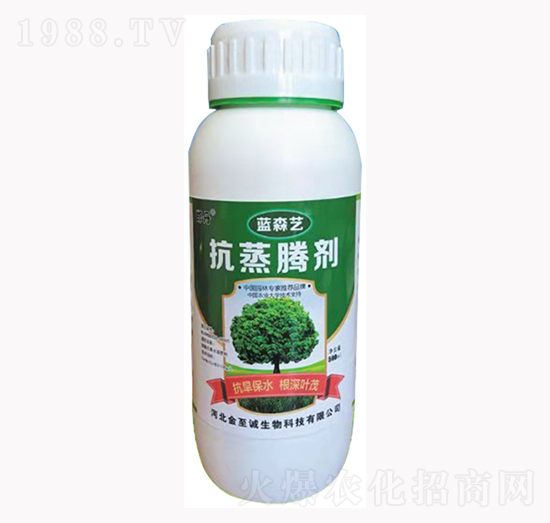 �����v��-�{ɭˇ-�����\