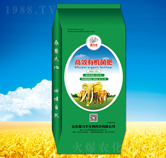 �ЙC(j��)����-�����S