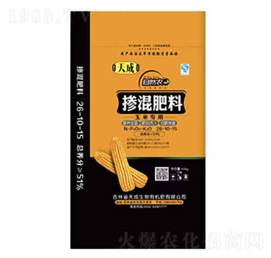 ���׌��Ó������24-10-15-�������