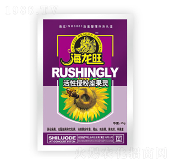 �����ڷ������`-������-������