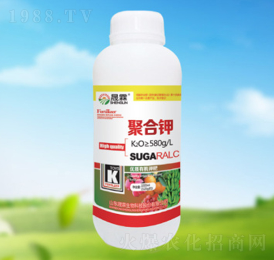 �ۺ��-��������