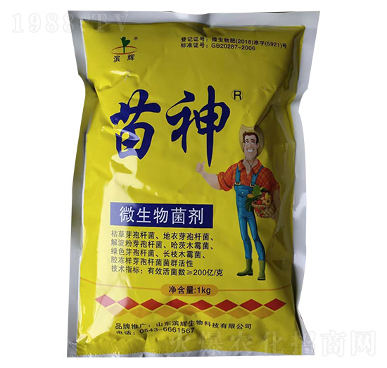 ΢�������-����-�I�x����