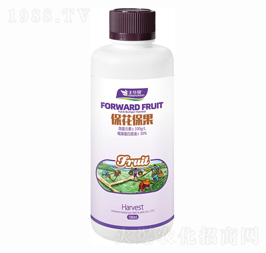 ����������-�S�A��-�S�A�ʘI(y��)