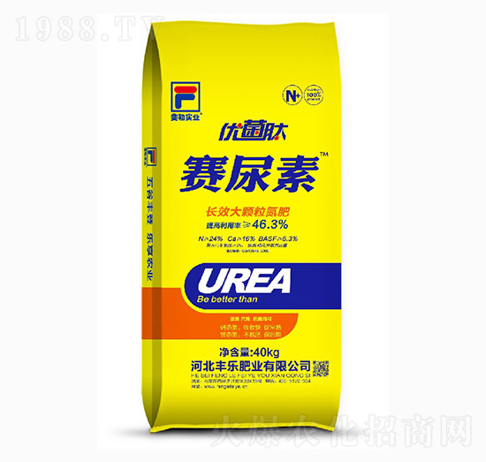 �LЧ���w������-ِ����-�S���ʘI(y��)