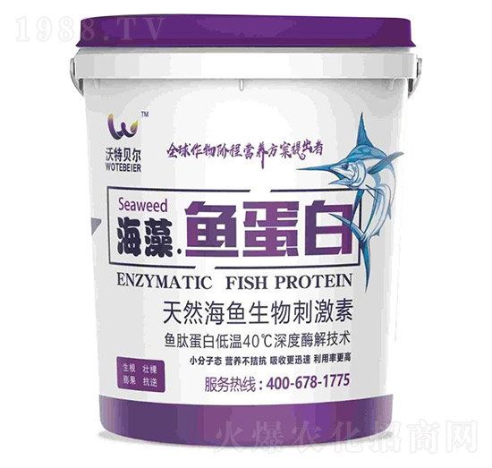 ��Ȼ���~����̼���-�����~����-����ؐ��-���r�|��