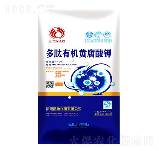 �����ЙC�S�����-��ӯ����