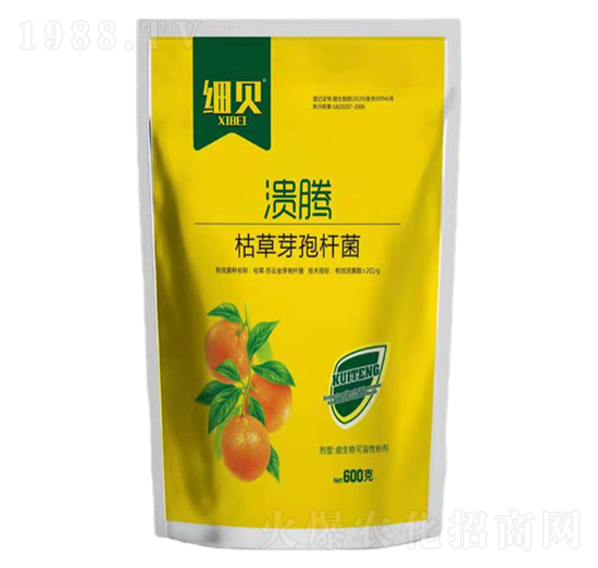 �ݲݡ�ѿ�ߗU��-����-��(x��)ؐ-������