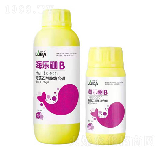 �����Ҵ����j(lu��)����-����(l��)��-������