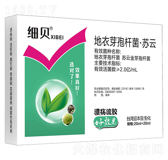 ����ѿ�ߗU�����K��-��(x��)ؐ-������