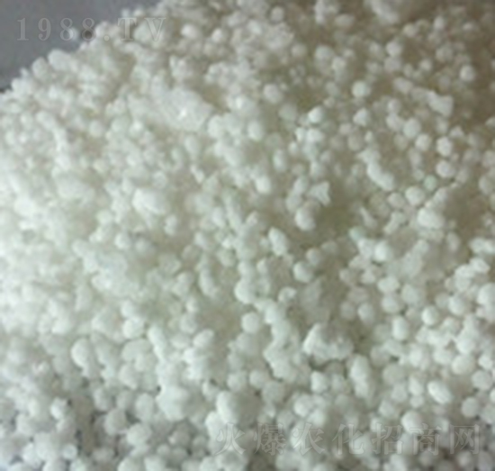 �����@�}�������{�턩��-���R