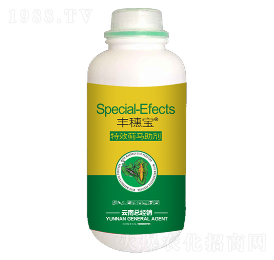 �E�R����-�S�댚-�˰�