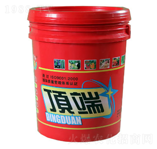 픶˛_ʩ��-�|���t