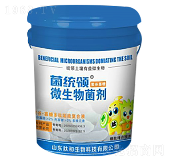 10kg΢�������-���y(t��ng)�I(l��ng)-�ĺ�����