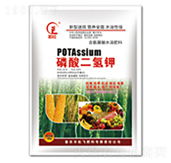 ��������-���л���