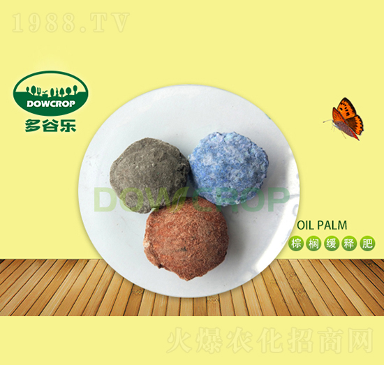 ���ؾ�ጷ�-��Ș�