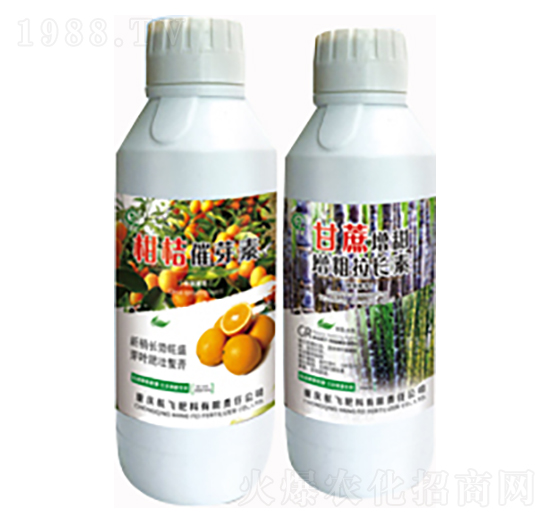 �̽۴�ѿ��+���������������L(zh��ng)��-���л���