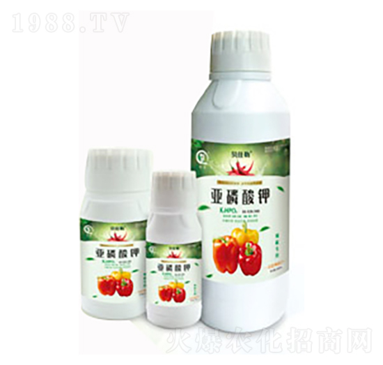 辣椒專用亞磷酸鉀-白市化工