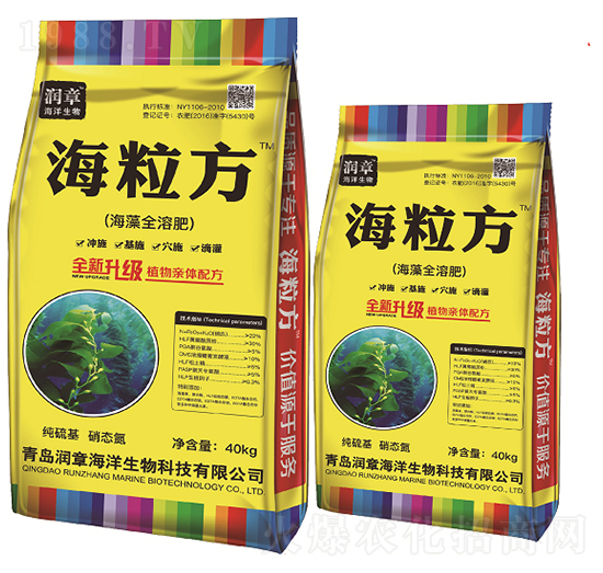 ����ȫ�ܷ�-������-���º���