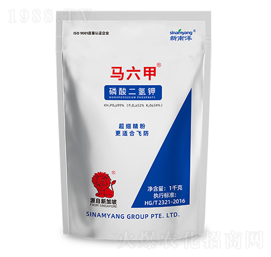 ��������-�R����-������