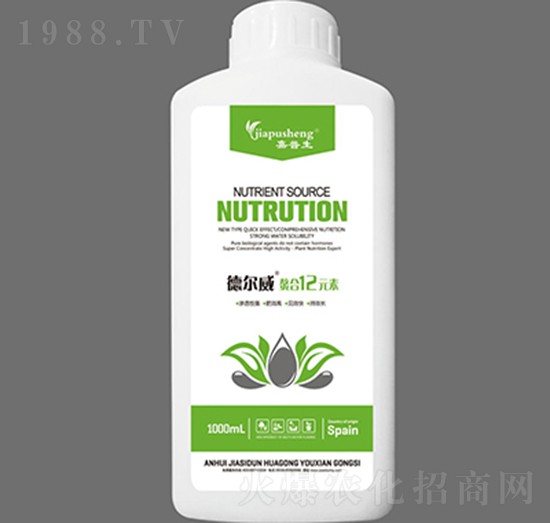 ����12Ԫ��-� ���-��˼�D