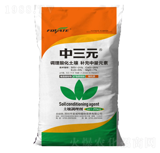 �����{�턩-����Ԫ-������