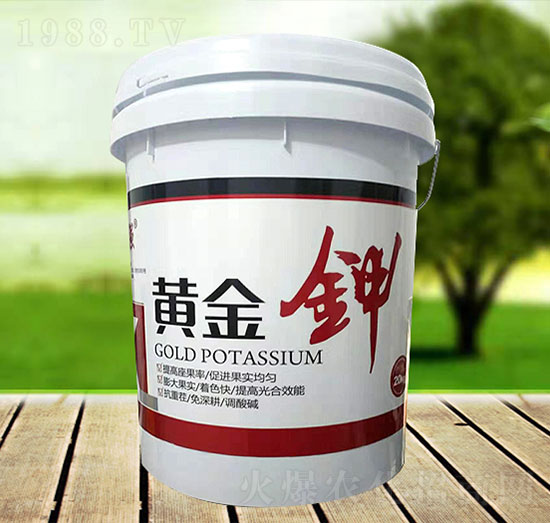 �S���-�\�����Q��