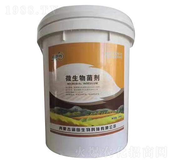 20kg΢�������-��������