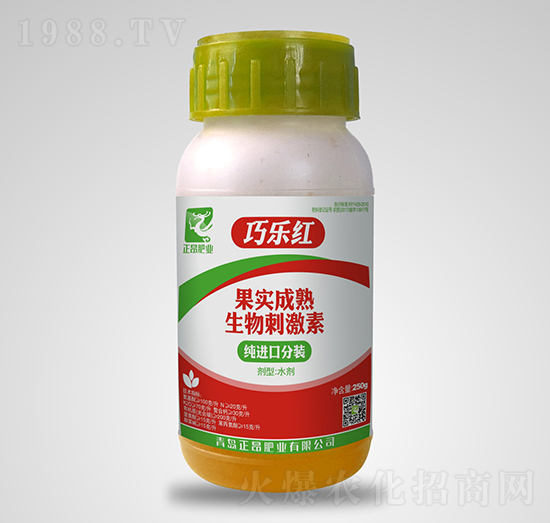 ������������̼���-�ɘ��t-�����ʘI(y��)