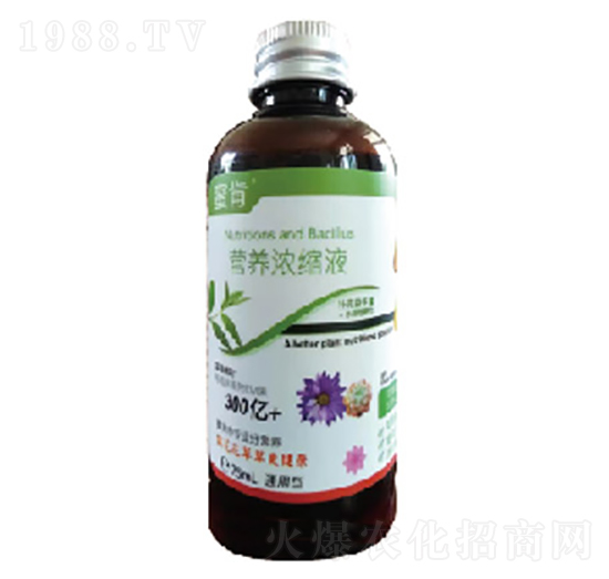 �I�B(y��ng)��sҺ-�и�����