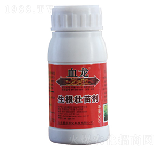 �������焩-Ѫ��-�и�����