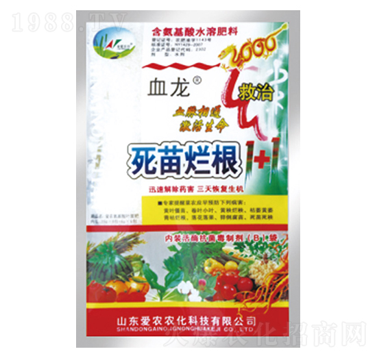 ���砀��1+1-Ѫ��-�и�����