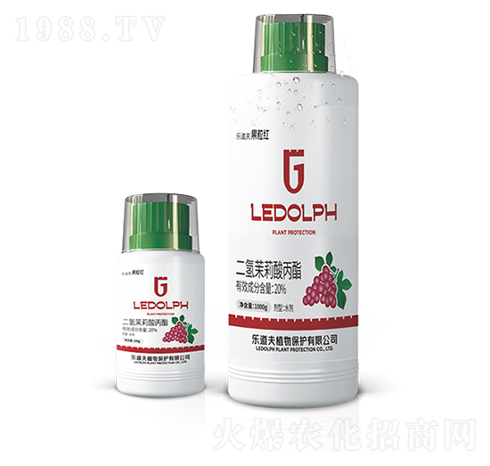 20%�������������-�����t-��(l��)����