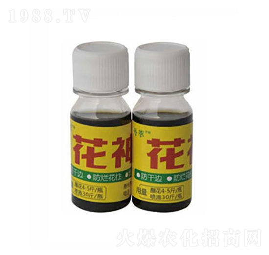 �S���r����-�r(n��ng)����