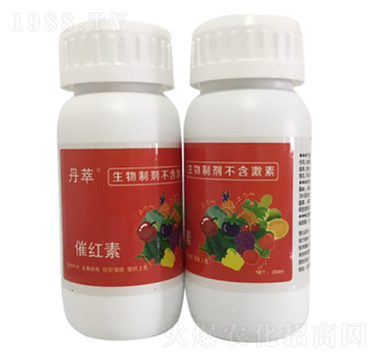 �߼t��-�r����