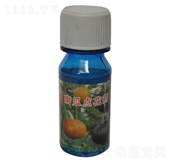 南瓜點花藥-農伯樂