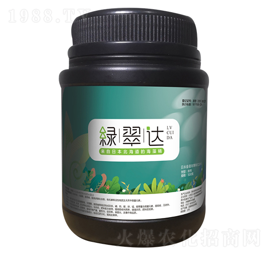 ���徫-�G���_(d��)-���˳�