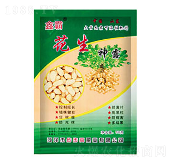 ������¶-�ΰ�-�����߷ʘI(y��)