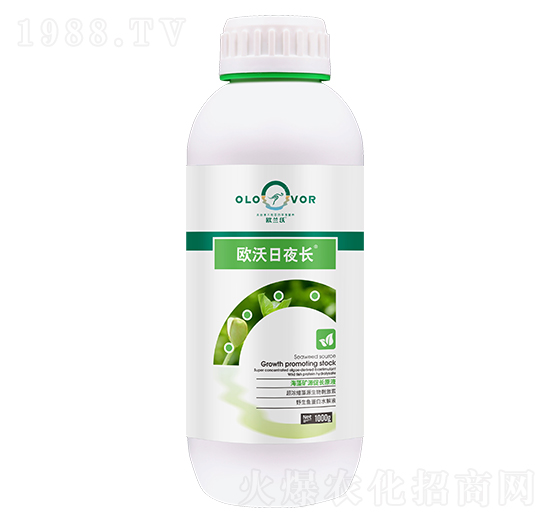 �W����ҹ�L-�W�m��