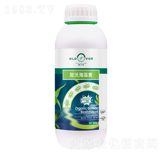 �����ЙC̼����̼���-�W�ֺ�����-�W�m��