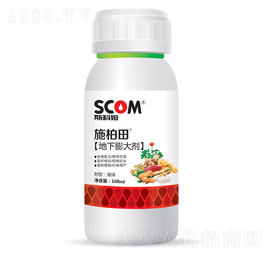 �������-ʩ����-˹��ķ