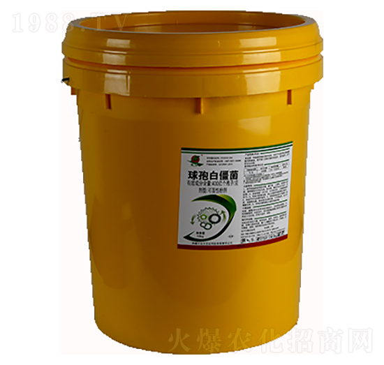 400�|������ÿ�����߰׽���-���r(n��ng)����