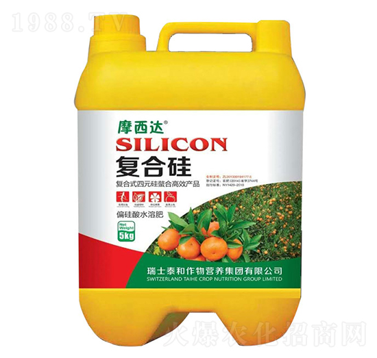 ��(f��)�Ϲ�-Ħ���_(d��)-������r(n��ng)