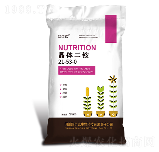 ���w���@-�W�Z��