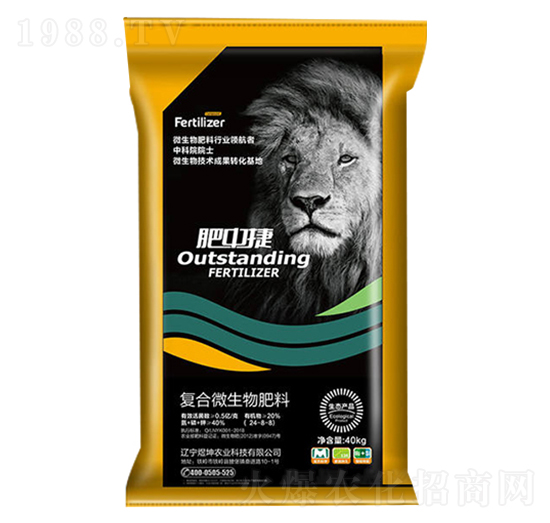 �ͺ�΢�������24-8-8-���н�-����