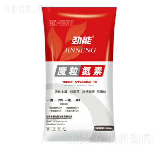 ħ������-����-�\������